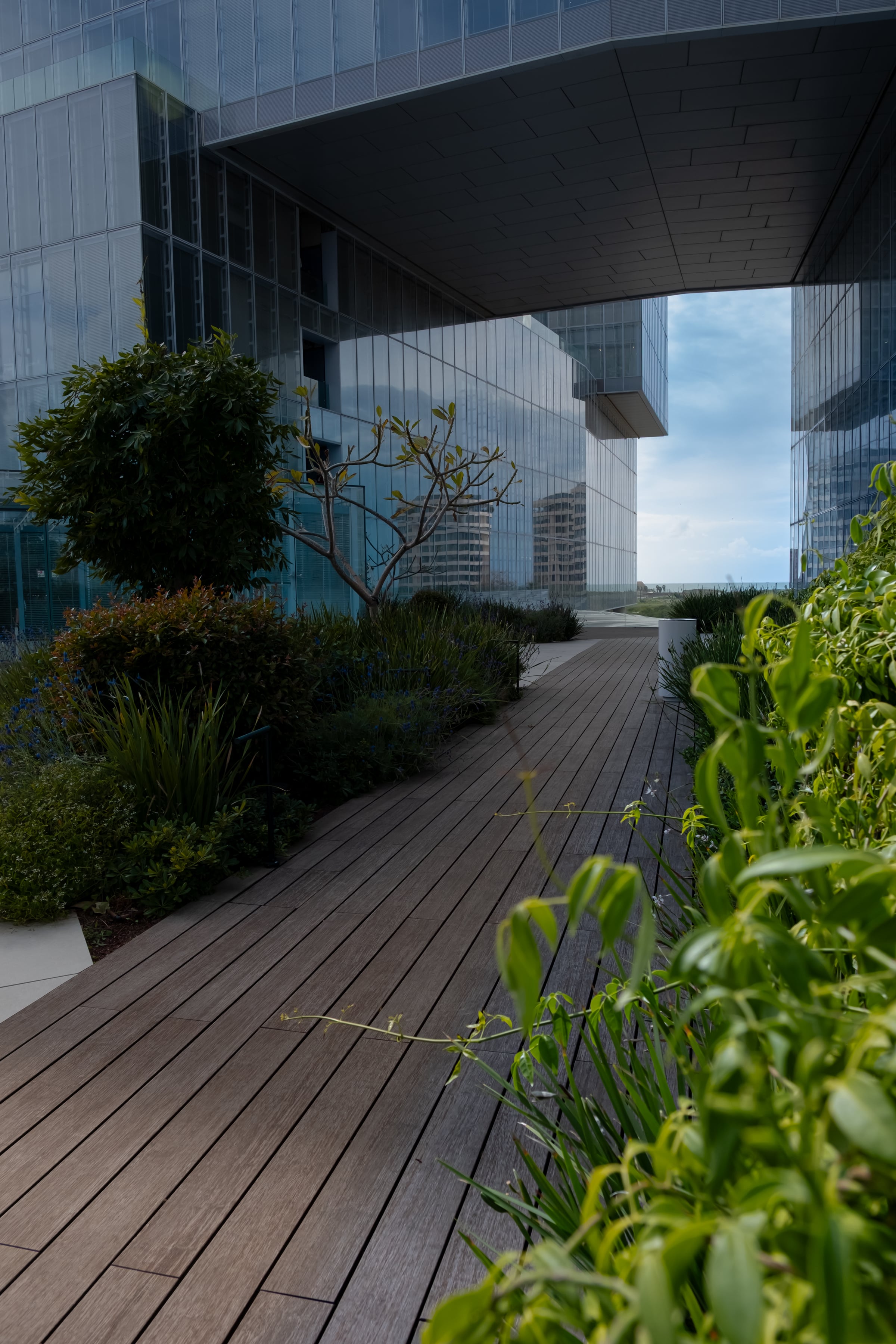 Modern corporate glass towers with rooftop garden path