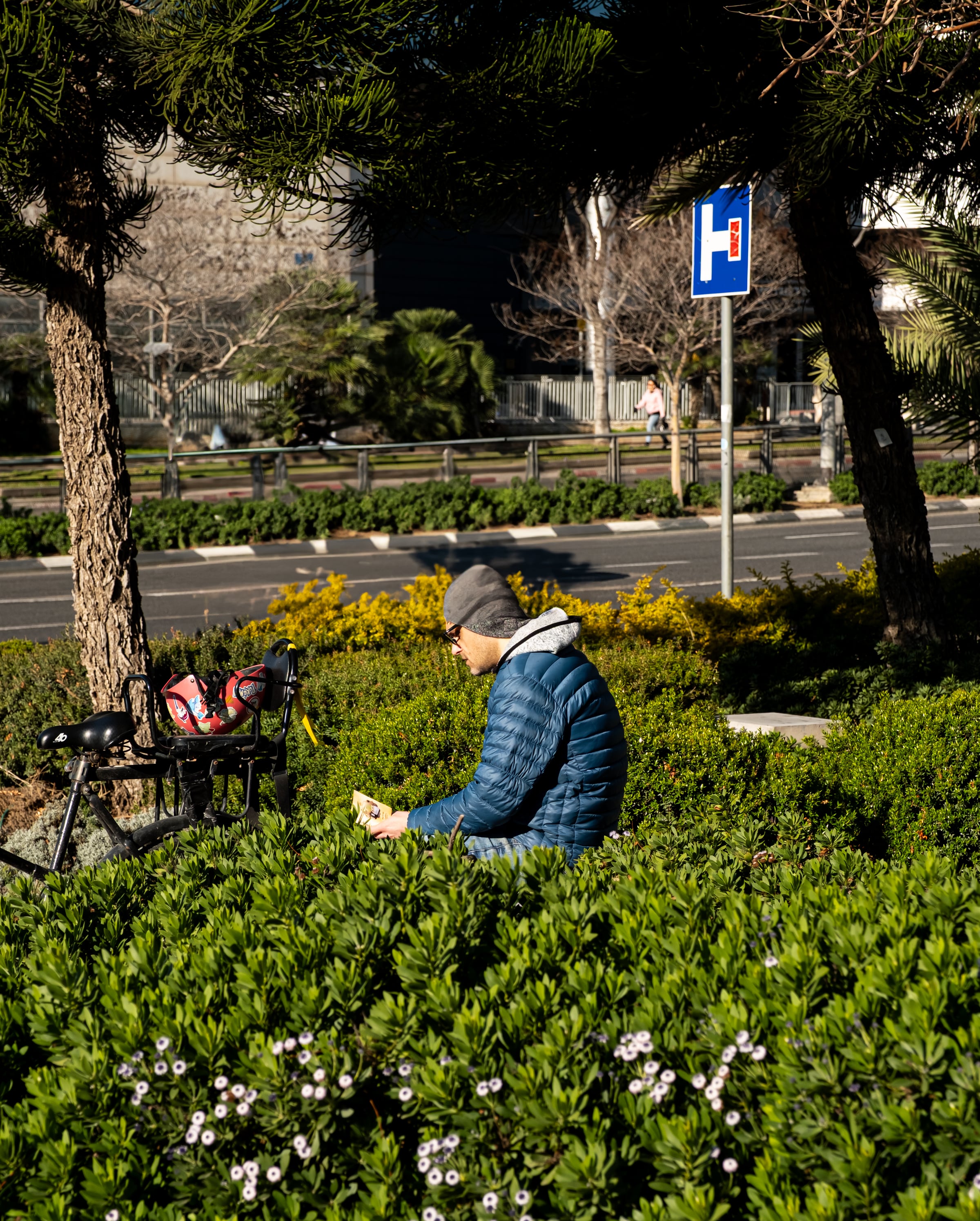 Man sitting reading among green shrubs in urban park with bicycle and child seat