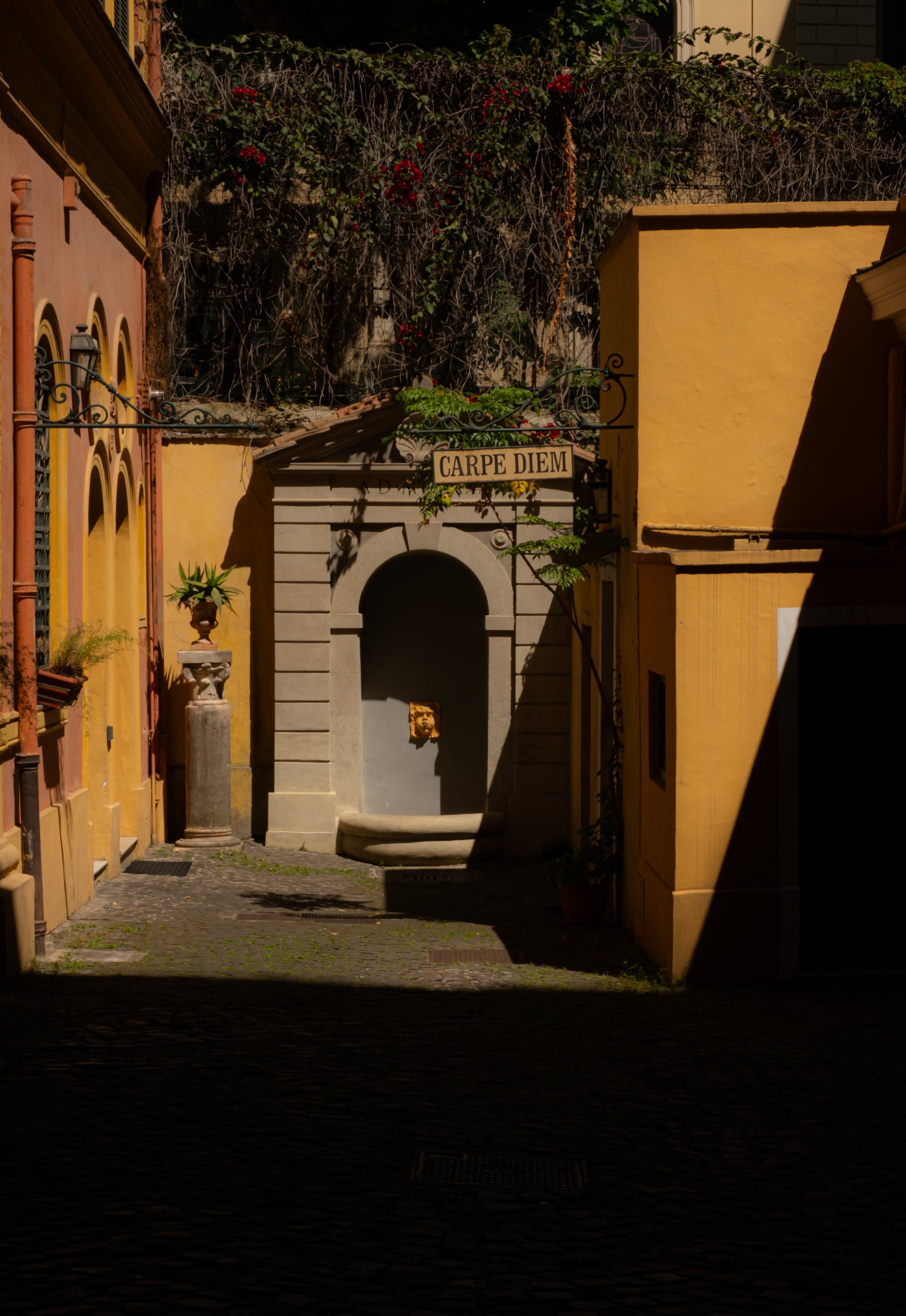 Narrow Roman alley with yellow ochre buildings, Carpe Diem sign over arched fountain
