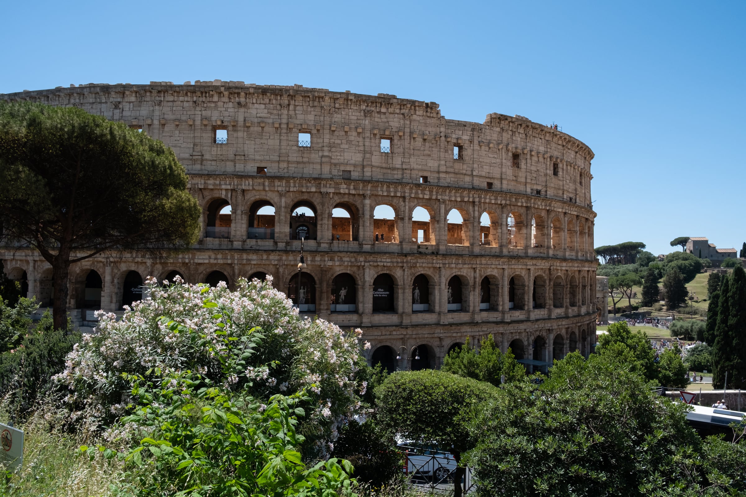 Colosseum surrounded by lush summer foliage and trees under bright sky