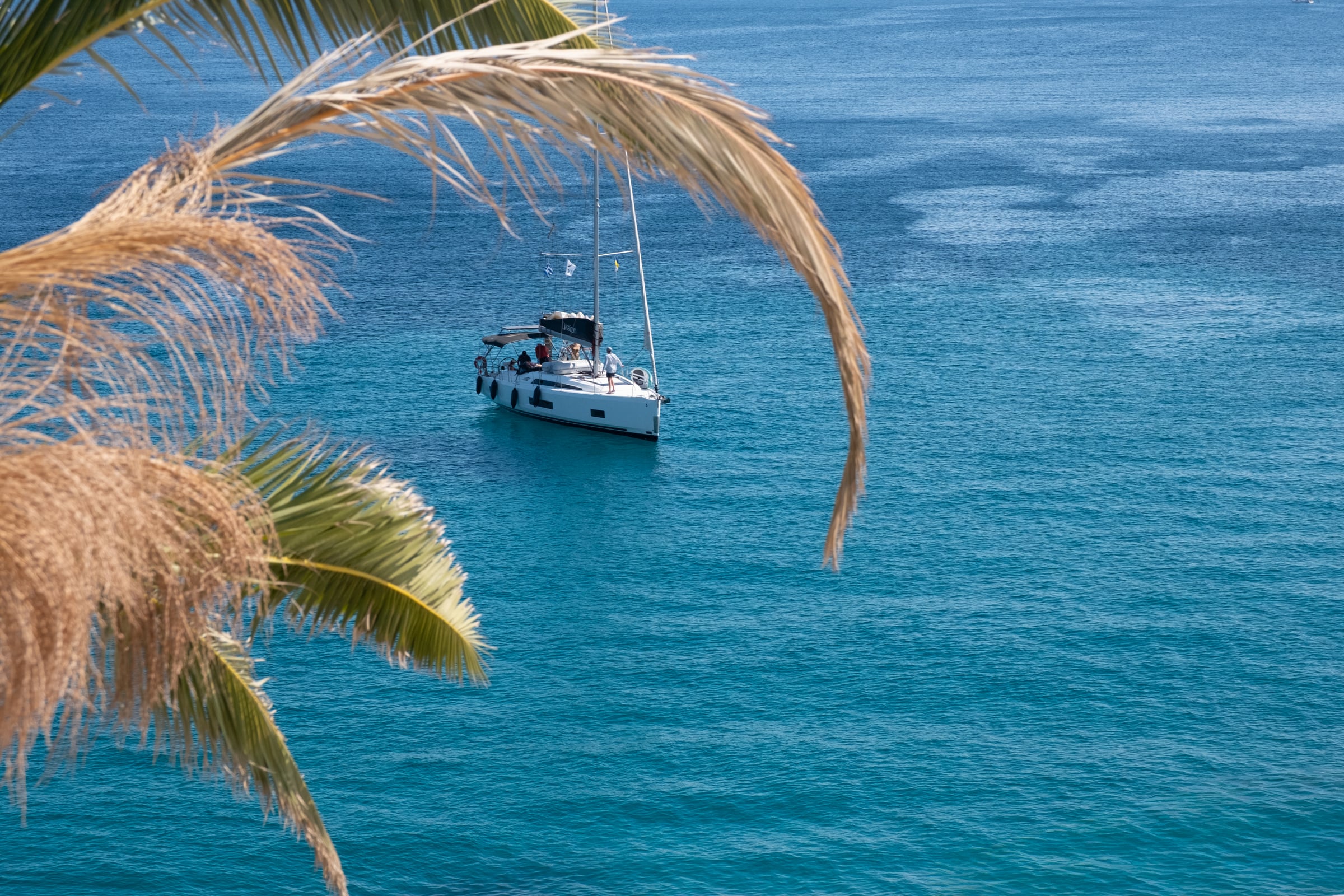 White sailboat in brilliant turquoise Mediterranean sea framed by dried palm frond